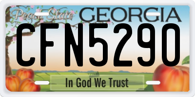 GA license plate CFN5290
