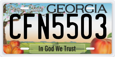 GA license plate CFN5503