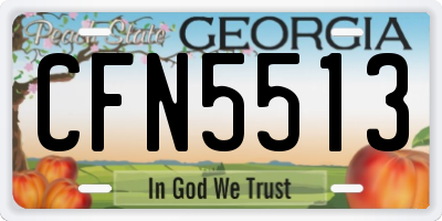 GA license plate CFN5513