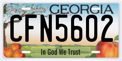 GA license plate CFN5602