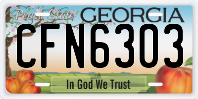 GA license plate CFN6303