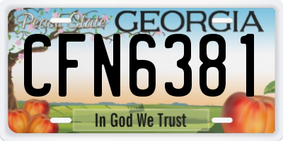 GA license plate CFN6381