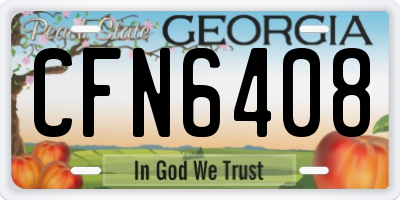 GA license plate CFN6408