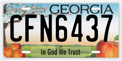GA license plate CFN6437