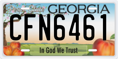 GA license plate CFN6461