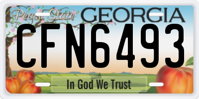 GA license plate CFN6493