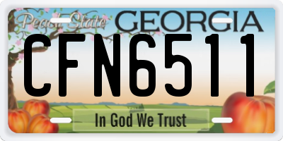 GA license plate CFN6511