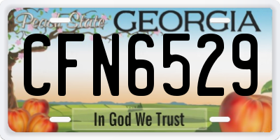 GA license plate CFN6529