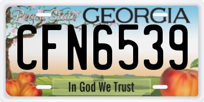 GA license plate CFN6539