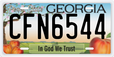 GA license plate CFN6544