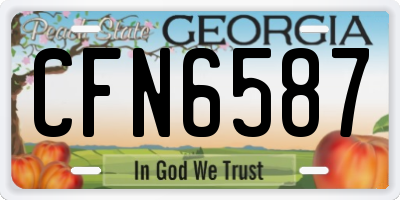 GA license plate CFN6587