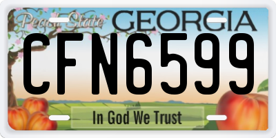 GA license plate CFN6599