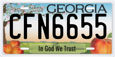 GA license plate CFN6655