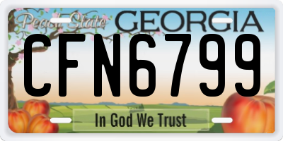GA license plate CFN6799