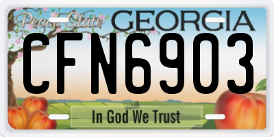 GA license plate CFN6903