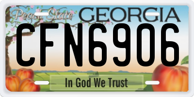 GA license plate CFN6906