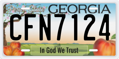 GA license plate CFN7124