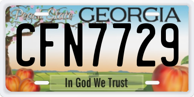 GA license plate CFN7729