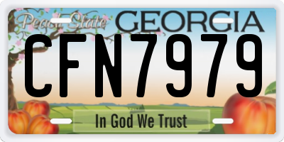GA license plate CFN7979