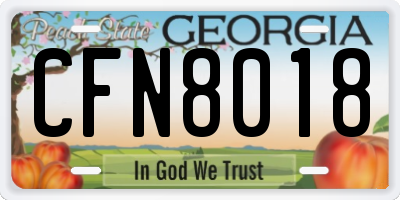 GA license plate CFN8018