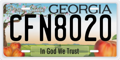 GA license plate CFN8020