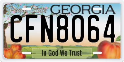 GA license plate CFN8064