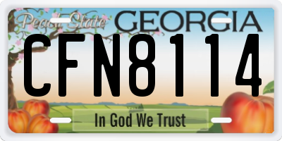 GA license plate CFN8114