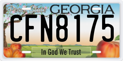 GA license plate CFN8175