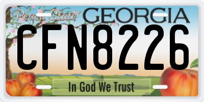 GA license plate CFN8226