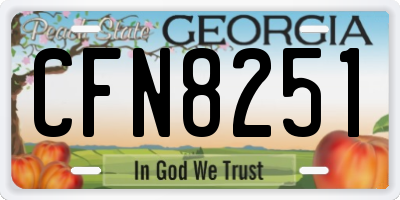 GA license plate CFN8251