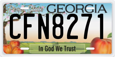 GA license plate CFN8271