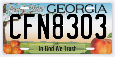 GA license plate CFN8303