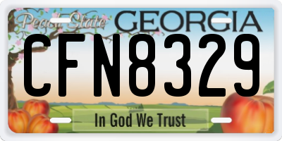 GA license plate CFN8329
