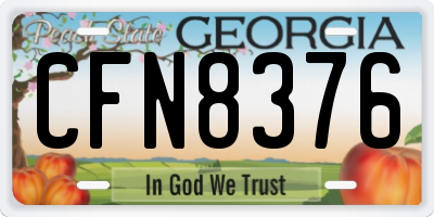 GA license plate CFN8376