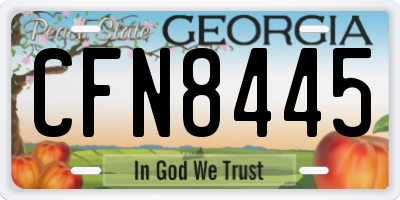 GA license plate CFN8445