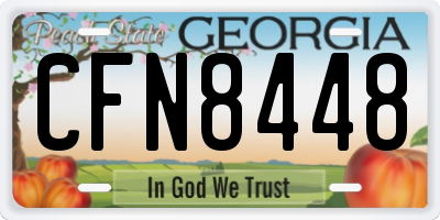 GA license plate CFN8448