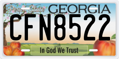 GA license plate CFN8522