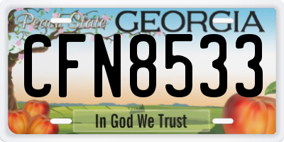 GA license plate CFN8533