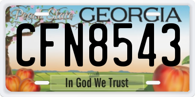GA license plate CFN8543
