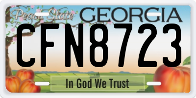 GA license plate CFN8723