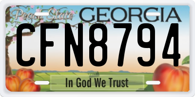 GA license plate CFN8794