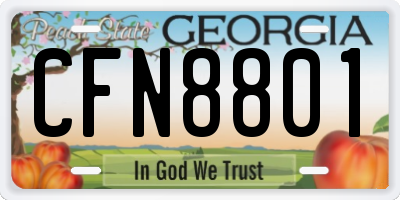 GA license plate CFN8801