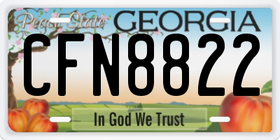 GA license plate CFN8822