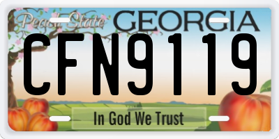 GA license plate CFN9119