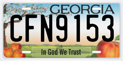 GA license plate CFN9153