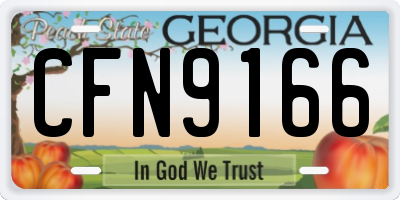 GA license plate CFN9166
