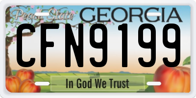 GA license plate CFN9199