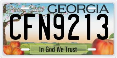 GA license plate CFN9213