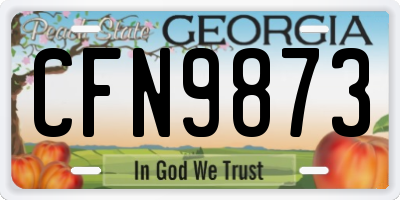 GA license plate CFN9873