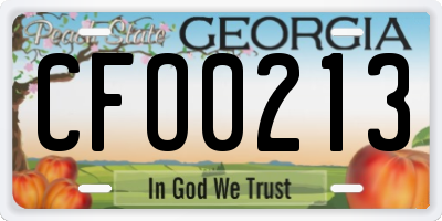 GA license plate CFO0213